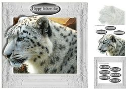snow leopard