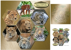 wild cats