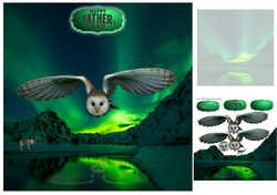 owl hunting