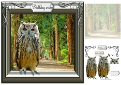 its a hoot