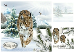 winter birthday