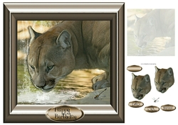 cougar