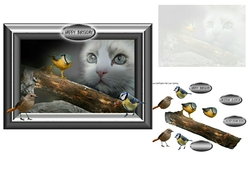 watch the birdie 2
