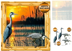 herons