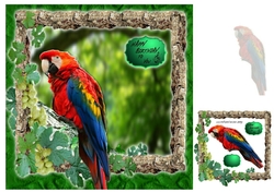parrot