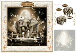 enchanting elephants