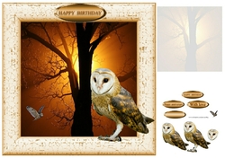 hoot