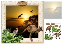 kangaroo