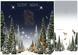 silent night