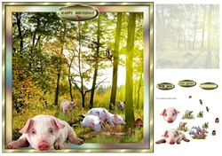 pigs in muck