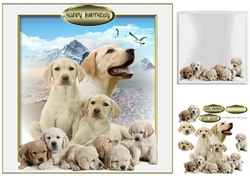 family portrait