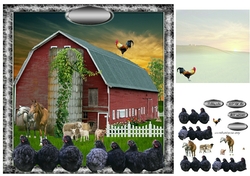 down on the farm