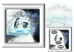 fairy penguins