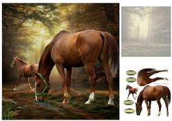 forest horses