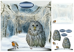 owls in the wild