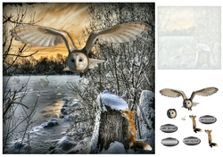 fox and the owl