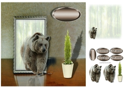 beary special