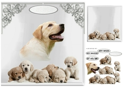 family portrait