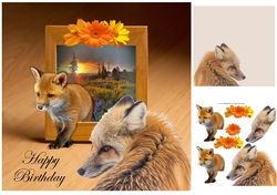 foxy birthday