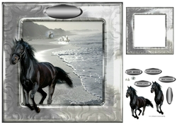 black horse
