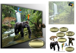 african rainforest