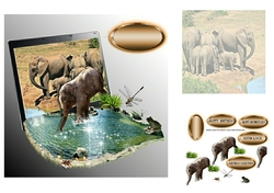 at the watering hole