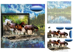 horses cooling off
