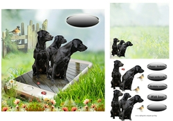 3 black labs