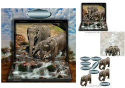 elephant family