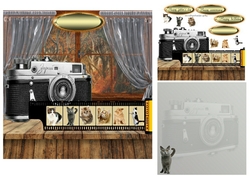 cat photographer
