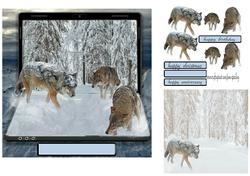 wolves in the snow