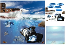 underwater photography 