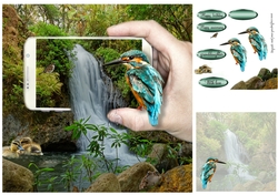 forest mobile