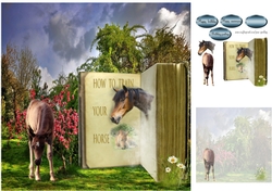 horse book