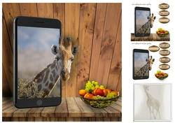 giraffe