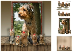 yorkie