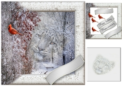 snow leopard in a frame