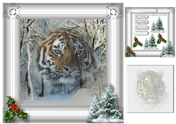 tiger in a frame