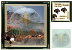 eagle