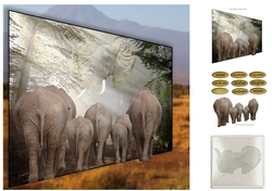 call of the elephants
