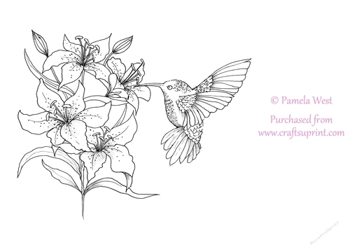 Hummingbird and Lilies Digital Stamp, colouring page. digi stamp Coloring
