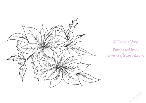 Poinsettia Digital Stamp, colouring page. digi stamp Coloring