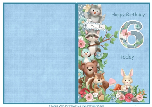 Woodland friends 6th birthday print and fold quick card