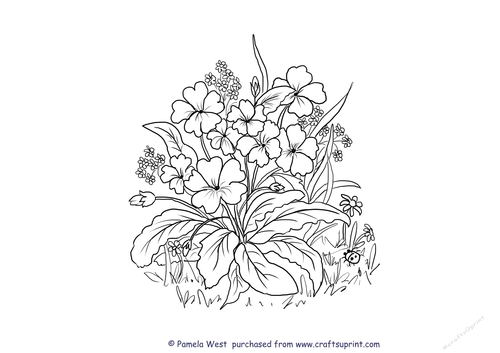 Primroses and Forget me nots digital stamp or colouring pages