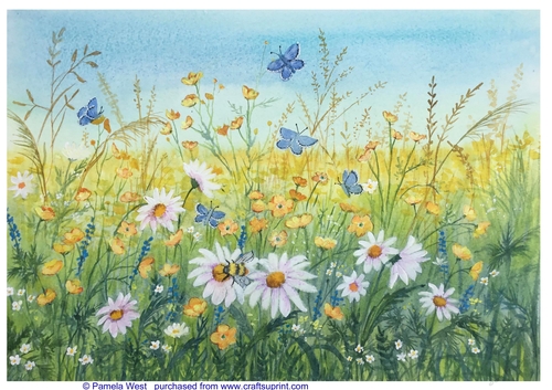 Field Flowers and butterflies Original art for designer resources or card toppers