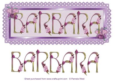 Barbara Name Topper with Pink Roses