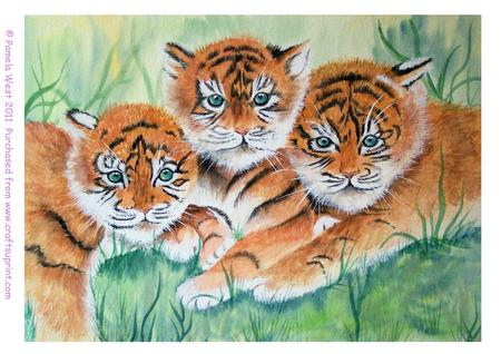 Original Watercolour Painting of 3 Tiger Cubs