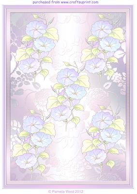 Morning Glory Watercolour Vellum