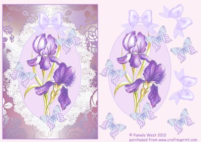 Watercolour Cameo with Lace Iris Decoupage Sheet