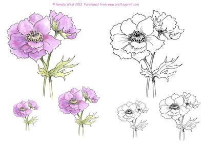 Anemone Digital Stamp and Watercoloured Stamp